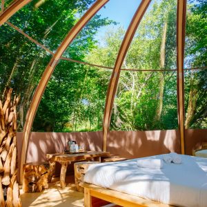 Hébergement insolite en Aquitaine : cabane en verre, vue sur la forêt verdoyante.