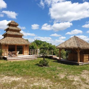 Cabane en bois avec toit de chaume, entourée de verdure et ciel bleu.