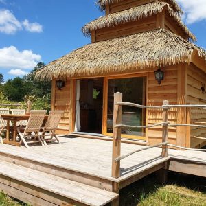 Cabane en bois avec toit de chaume, terrasse en bois et vue sur la nature.