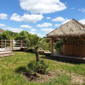 Hébergement insolite en Aquitaine : cabanes en bois avec toits de chaume et palmiers.