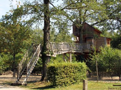 Cabane dans les arbres en Auvergne-Rhône-Alpes, perchée au milieu de la verdure.