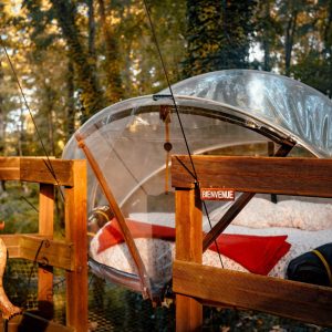 Hébergement insolite en bulle transparente, niché dans les arbres en Île-de-France.