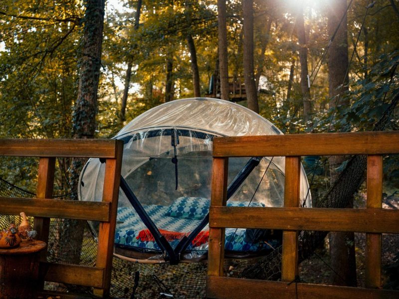 Hébergement insolite en bulle transparente, suspendu dans les arbres, entouré de verdure.
