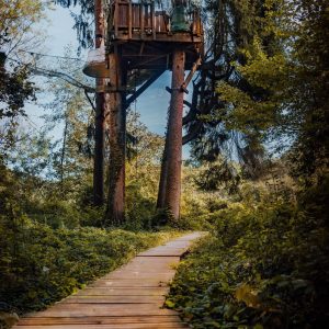 Cabane dans les arbres en Île-de-France, perchée au milieu dune forêt verdoyante.