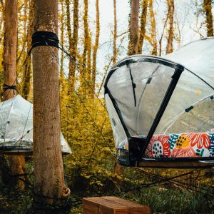 Tentes suspendues dans les arbres, entourées de feuillage doré en Île-de-France.