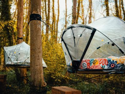Tentes suspendues dans les arbres, entourées de feuillage doré en Île-de-France.
