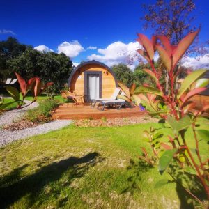 Hébergement insolite en forme de bulle, entouré de verdure et dun ciel bleu.