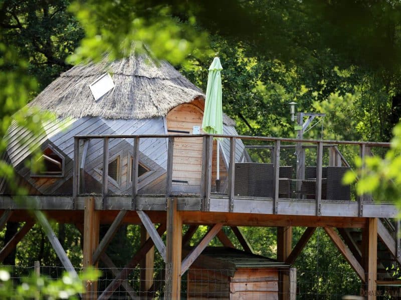 Cabane perchée en bois avec toit de chaume, entourée de verdure apaisante.