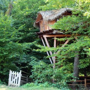 Cabane perchée en bois, entourée de verdure luxuriante en Auvergne-Rhône-Alpes.