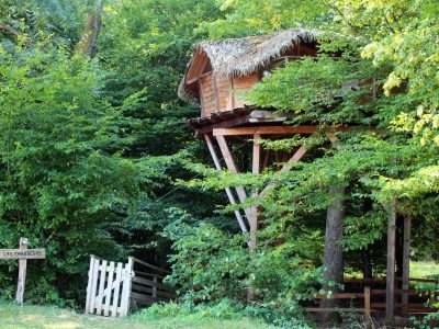 Cabane perchée en bois, entourée de verdure luxuriante en Auvergne-Rhône-Alpes.