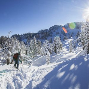 Hébergement insolite en Aquitaine : cabane en bois entourée de neige et de sapins.