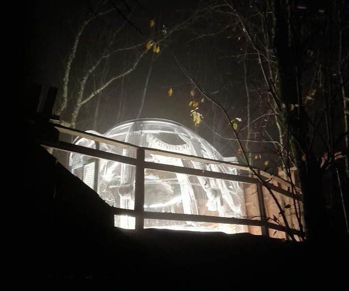 Dôme transparent en pleine nature, illuminé par la lumière nocturne.