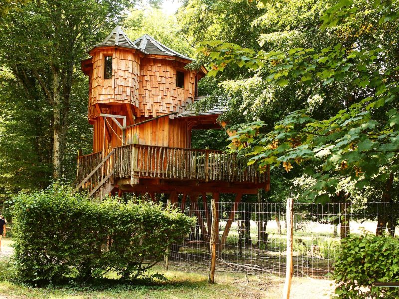 Cabane perchée en bois, entourée darbres verdoyants, offrant une vue paisible.