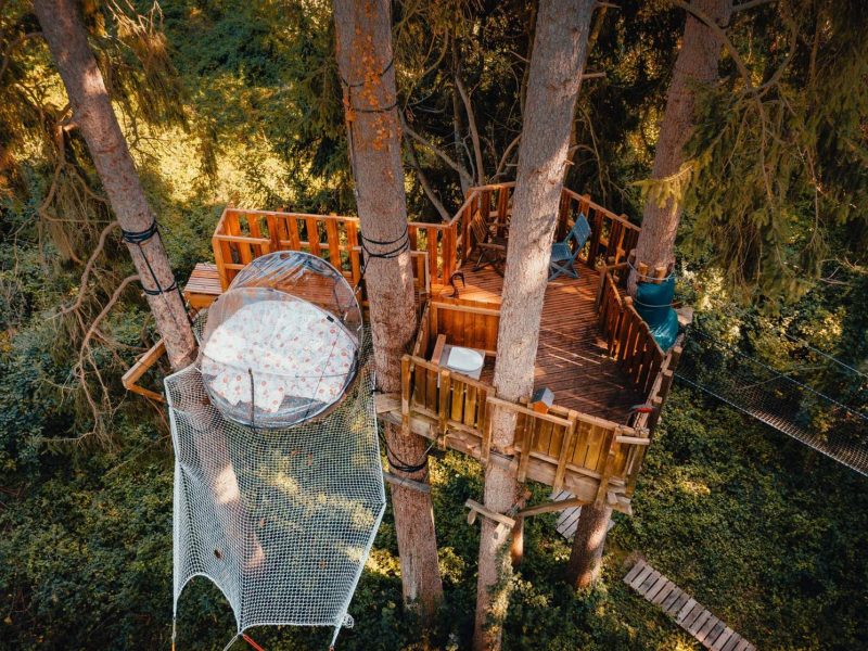 Cabane perchée dans les arbres avec un hamac suspendu et vue sur la forêt.
