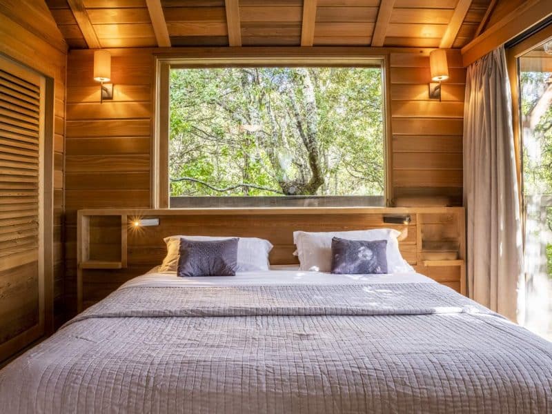 Chalet en bois avec une grande fenêtre offrant une vue sur la nature verdoyante.