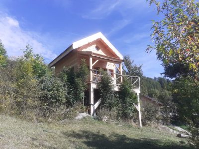 Cabane en bois perchée, entourée de verdure, avec balcon et ciel bleu.