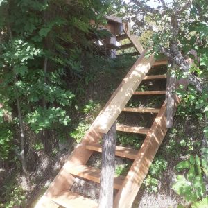 Escalier en bois menant à un hébergement insolite dans la nature, Provence-Alpes-Côte dAzur.