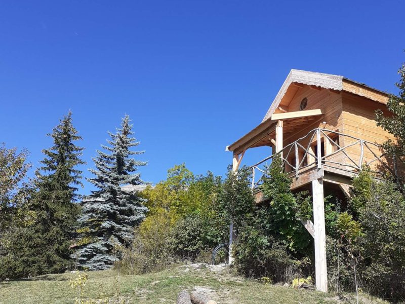 Cabane en bois perchée, entourée de verdure et de conifères sous un ciel bleu.