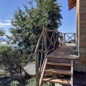 Cabane en bois avec une terrasse en bois, entourée de verdure en Provence-Alpes-Côte dAzur.