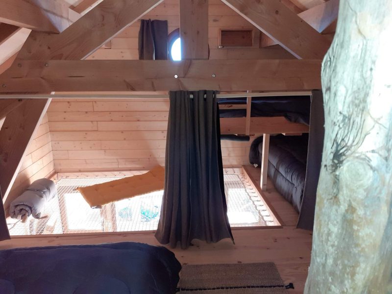 Cabane en bois avec mezzanine, décor chaleureux et rideaux en tissu.