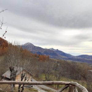 Hébergement insolite en cabane avec vue panoramique sur les montagnes de Provence.