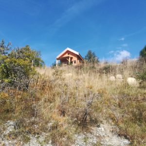 Chalet en bois surplombant la nature, entouré de champs dorés en Provence-Alpes-Côte dAzur.