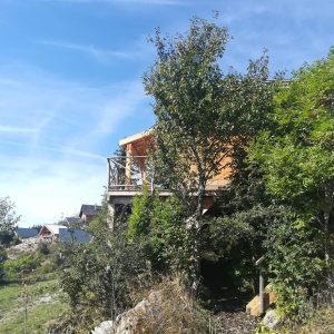 Cabane perchée en bois, entourée de verdure et sous un ciel bleu éclatant.