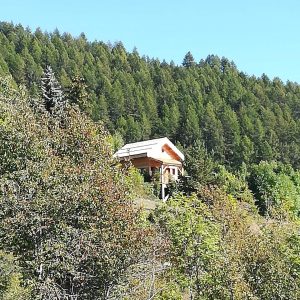 Cabane perchée en bois, entourée de verdure, avec vue sur les montagnes.