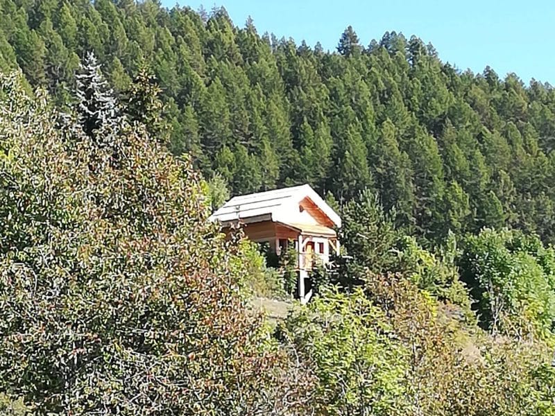 Chalet en bois surplombant une forêt verdoyante, idéal pour un séjour nature.
