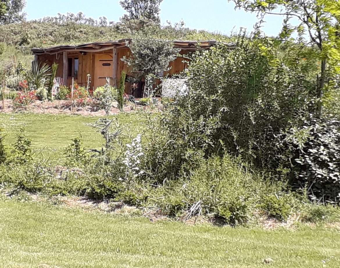Cabane en bois au milieu dun jardin verdoyant, entourée de plantes luxuriantes.