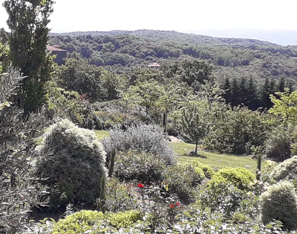 Hébergement insolite en pleine nature, avec vue panoramique sur les collines verdoyantes.
