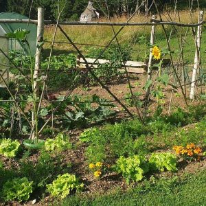 Hébergement insolite en Auvergne-Rhône-Alpes, avec un jardin potager coloré et verdoyant.