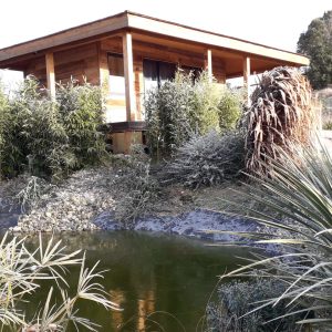 Cabane en bois au bord dun étang, entourée de bambous et de plantes exotiques.