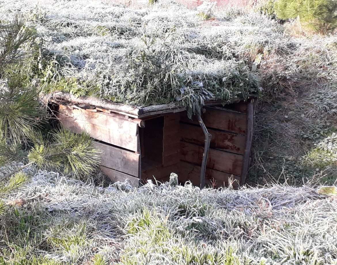Cabane en bois recouverte de végétation, nichée dans la nature du Languedoc-Roussillon.