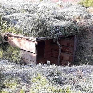 Cabane en bois recouverte de végétation, nichée dans la nature du Languedoc-Roussillon.