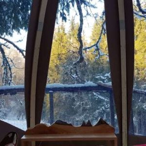 Hébergement insolite en forme de dôme, avec vue sur la forêt enneigée.