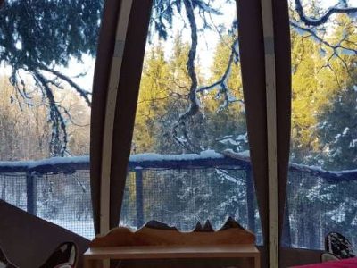 Hébergement insolite en forme de dôme, avec vue sur la forêt enneigée.