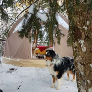 Tente suspendue en pleine nature, entourée de neige et dun chien fidèle.