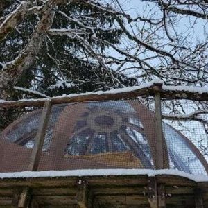 Hébergement insolite en cabane perchée, entouré darbres enneigés.