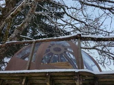 Hébergement insolite en cabane perchée, entouré darbres enneigés.