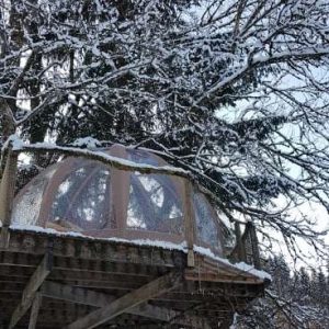 Cabane en arbre en Auvergne, entourée de neige et de sapins majestueux.