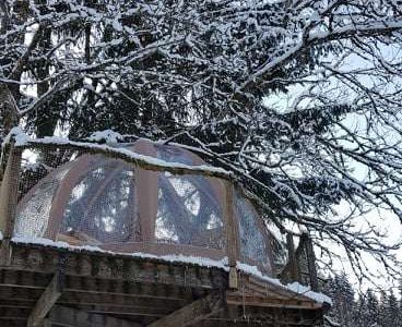 Cabane en arbre en Auvergne, entourée de neige et de sapins majestueux.