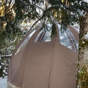 Yourte en bois, nichée sous les arbres, entourée de neige scintillante.