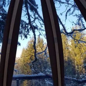 Hébergement insolite en yourte avec vue sur la forêt enneigée en Auvergne-Rhône-Alpes.