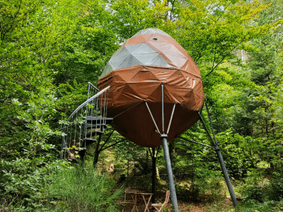 Hébergement insolite en forme dœuf, perché dans les arbres en pleine nature.