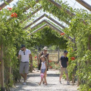 Défi Planet IMG_3519 copie