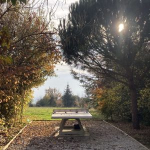Hébergement insolite en pleine nature, table de ping-pong entourée darbres colorés.