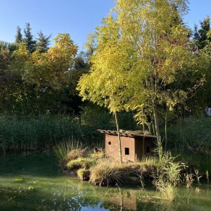 Cabane en bois sur un étang, entourée darbres aux feuilles dorées.