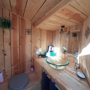 Cabane en bois avec lavabo en verre et décoration naturelle, ambiance chaleureuse.