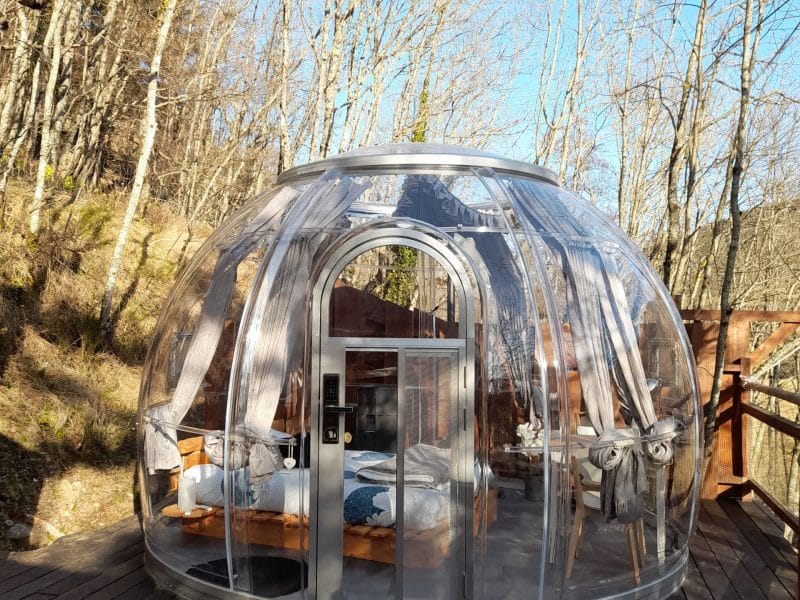 Dôme transparent en pleine nature, offrant une vue imprenable sur les arbres environnants.